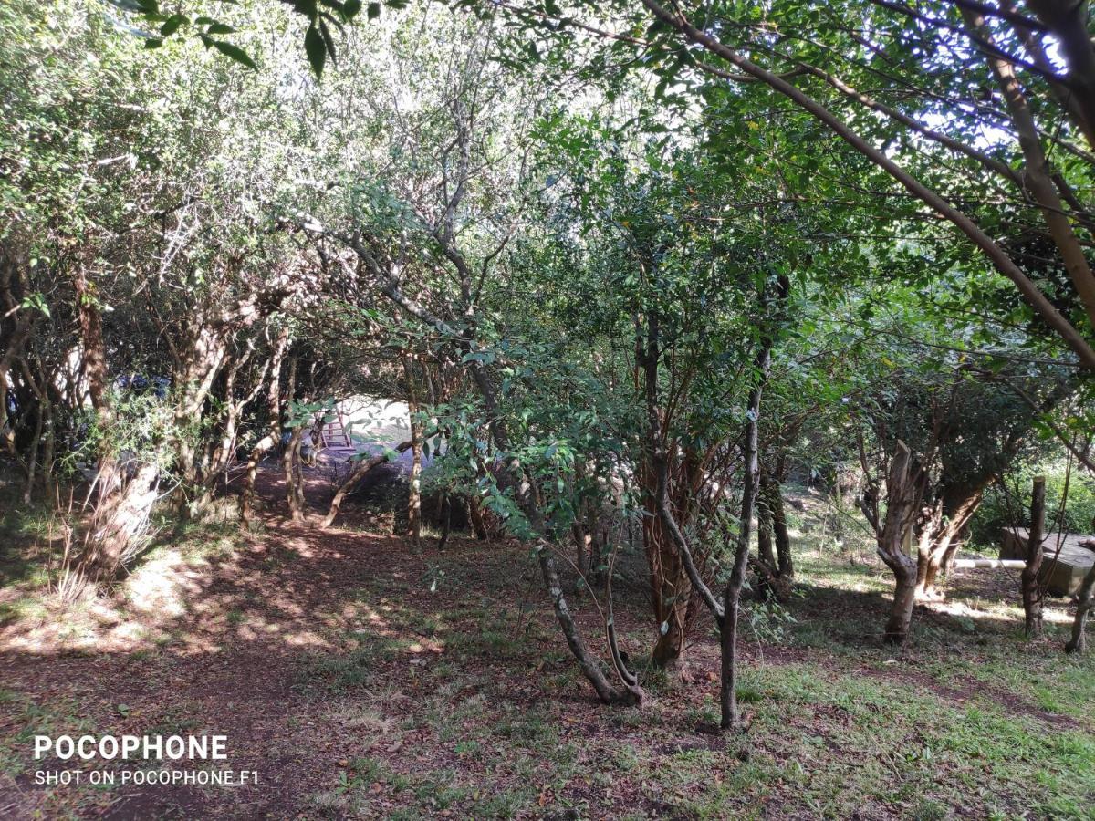Cabana Los Pololos Villa Serrana Exteriér fotografie